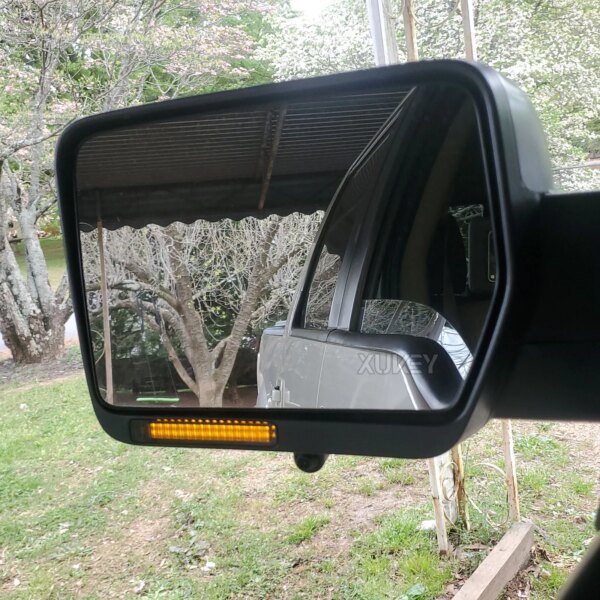 ضوء إشارة الانعطاف لفورد ، تحت المرآة الخلفية الجانبية ، F150 ، view ، Ford- Raptor-، رحلة استكشافية ، 2