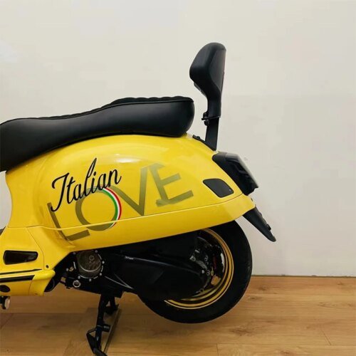 مسند ظهر لمقعد الركاب الخلفي لفيسبا GTS 300 Sprint 150 Primavera وسادة مسند الظهر الإطار الخلفي ملحقات الدراجة النارية